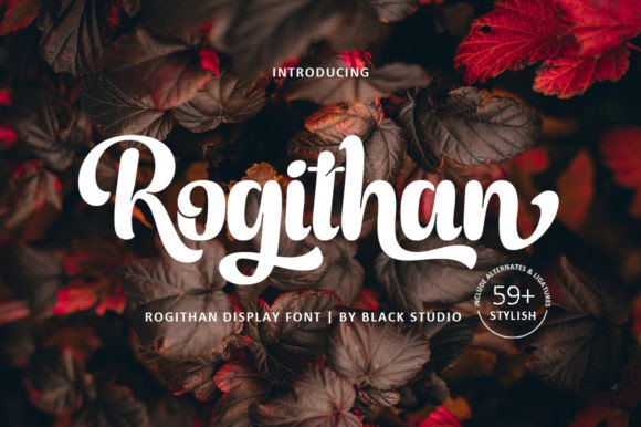 Rogithan: The Elegant Display Font for Handmade Creators