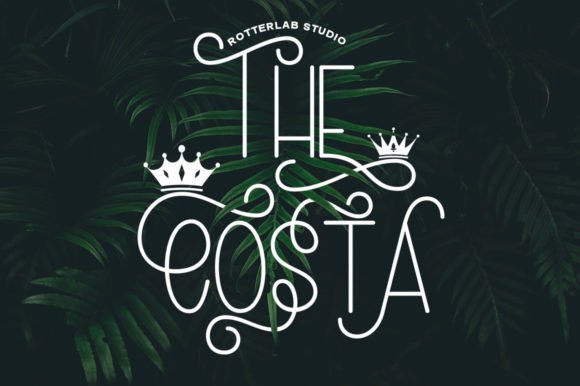 The Costa: A Modern Handwritten Font for Web Design and Digital Identity